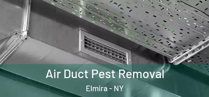  Air Duct Pest Removal Elmira - NY