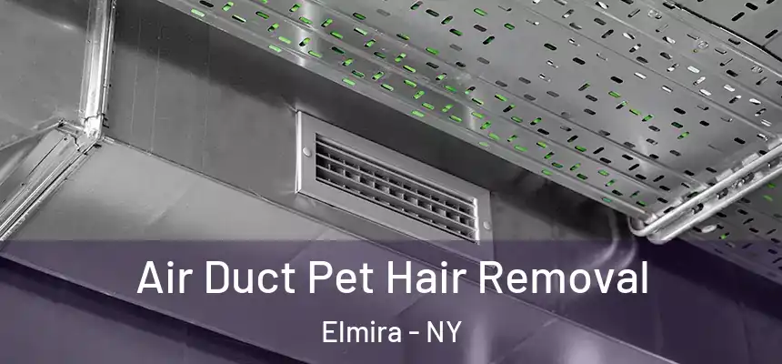  Air Duct Pet Hair Removal Elmira - NY