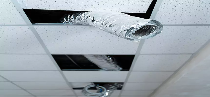 Our Air Duct Pet Hair Removal Services in Elmira, NY