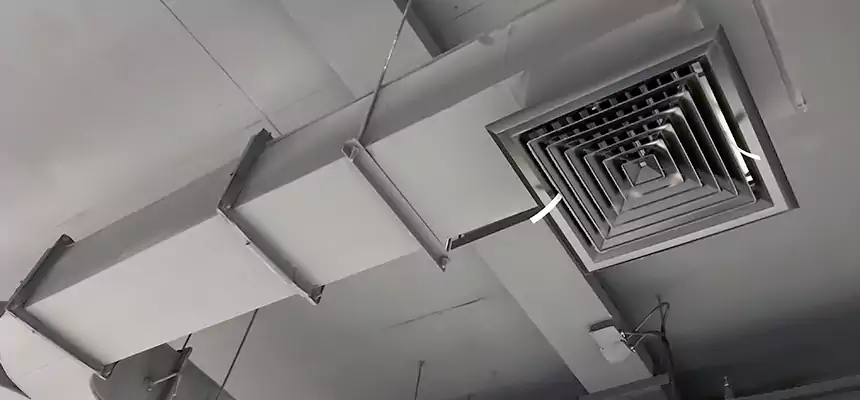 Restorative Allergy Relief Vent Cleaning – Coil, Blower & Housing Detail in Elmira