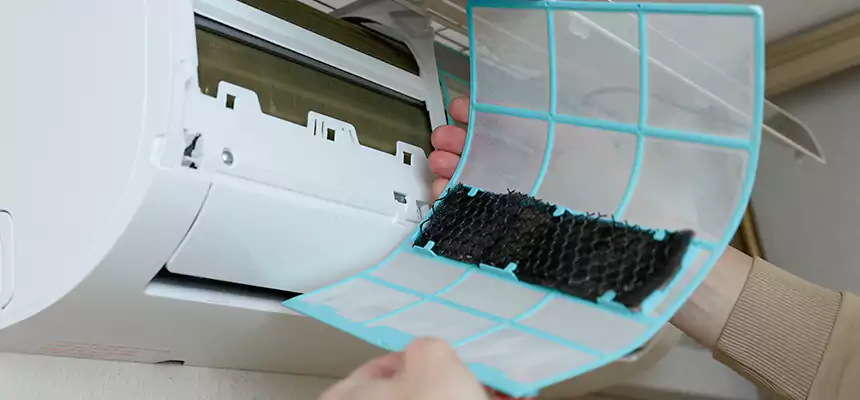 Gentle Ductwork Odor-Control Pet Dander Duct Cleaning in Elmira, NY