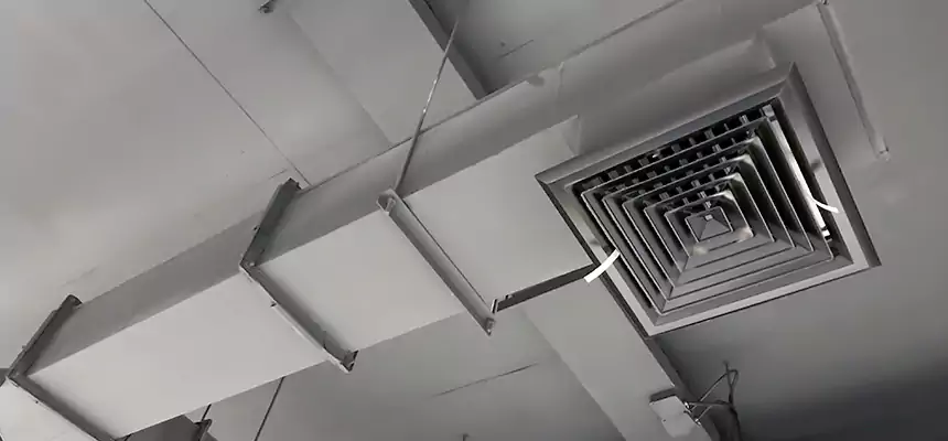 Our Rodent Droppings In Vents Services in Elmira, NY