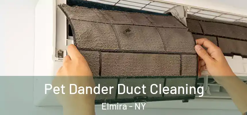  Pet Dander Duct Cleaning Elmira - NY