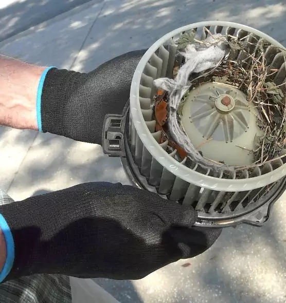 About Air Duct Rat Removal in Elmira, NY