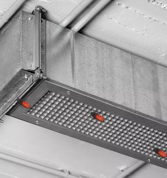 Affordable Insect Removal from Air Ducts in Elmira, NY