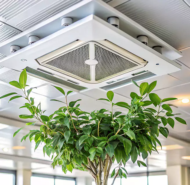 Why Homeowners & Businesses Trust Us in Elmira, NY?