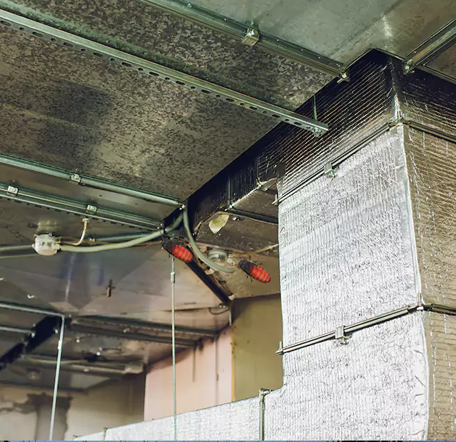 Why Homeowners & Businesses Trust Us Elmira, NY?